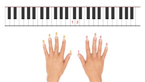 Piano Finger | vlr.eng.br