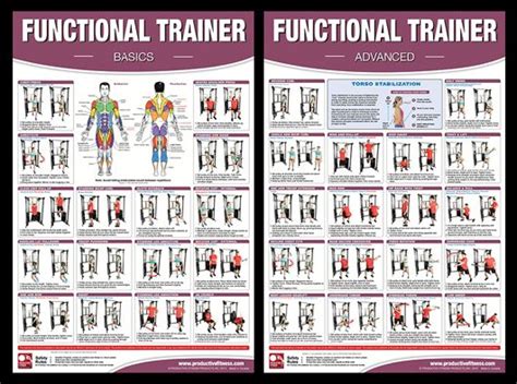 Functional Trainer Fitness Instructional Wall Chart 2-Poster Combo - Productive Fitness ...