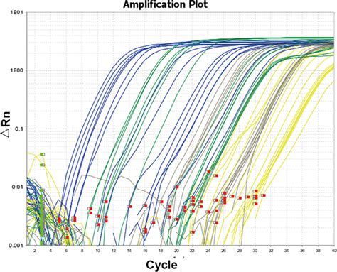 Amplification curve of quantitative real-time PCR. The amplification ...