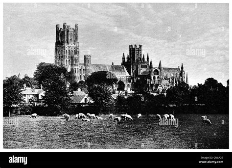 Ely cathedral england hi-res stock photography and images - Alamy