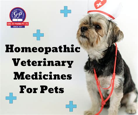 Homeopathic Veterinary Medicines For Pets