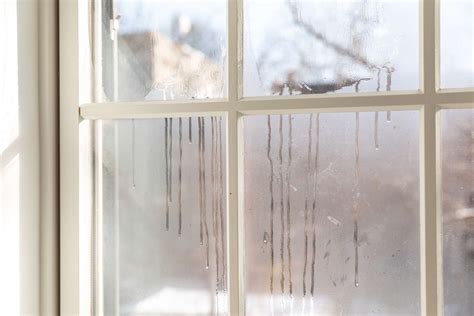 The Causes and Prevention of Window Condensation - Sacramento Siding ...