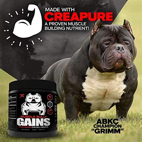 Muscle Bully Gains Dog Muscle Builder Protein Powder for Dogs to Add ...