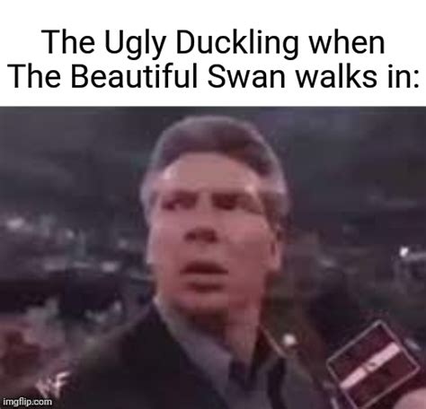 The Ugly Duckling, The Beautiful Swan - Imgflip