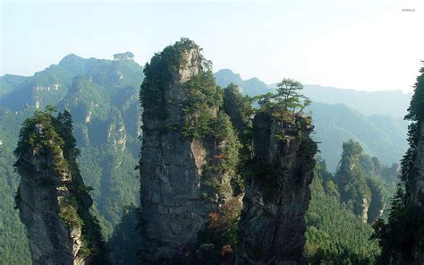 Tianzi Mountain Wallpapers Images Photos Pictures Backgrounds