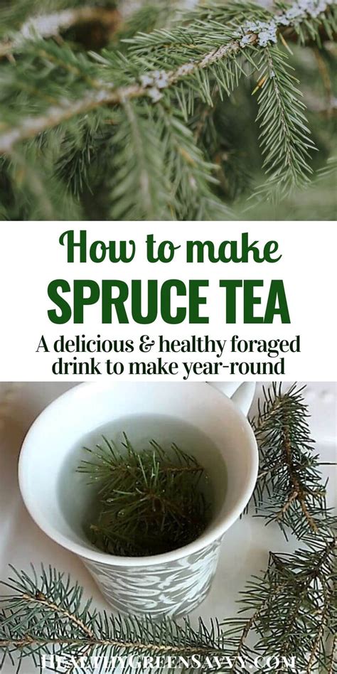 How to Make Spruce Tea, A Delicious Way to Fight Colds