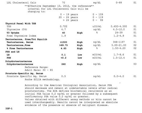 Testosterone Blood Test Results Explained, Understand Test Result