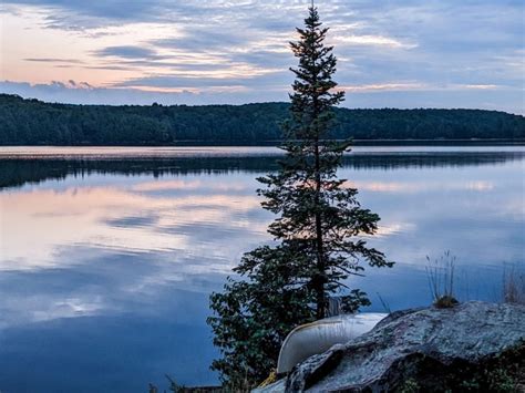 Algonquin Provincial Park - Trip Reports