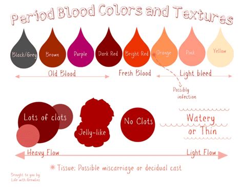 What is Your Period Blood Telling You About Your Health? — Freya Graf ...