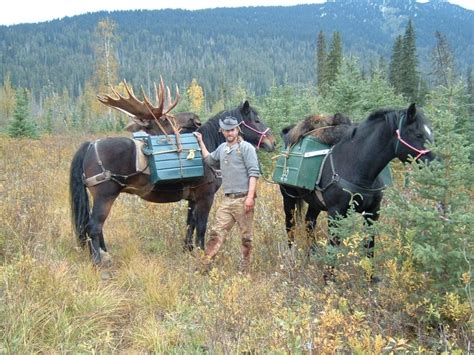 BC Archery Moose Hunt - Outdoors International