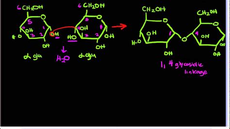 1,4glycosidic - YouTube