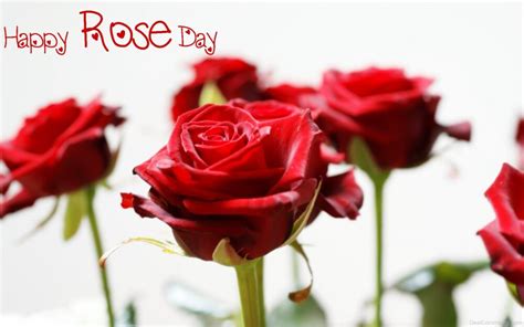 Happy Rose Day Wallpaper - Desi Comments