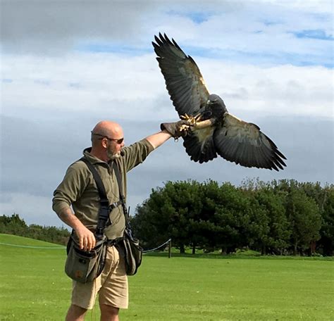 North Devon Bird Of Prey Centre | Bird watching area | England