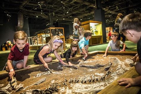 The 7 Best Orlando Museums – Locals' Picks | Travel | US News