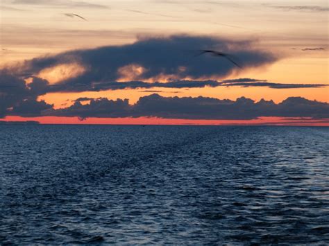 Fotos gratis : mar, costa, agua, Oceano, horizonte, nube, amanecer, puesta de sol, apuntalar ...