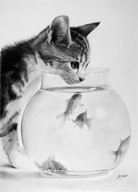 17 Best images about Animals in pencil on Pinterest | Tim o'brien, Pencil drawings and Animal ...