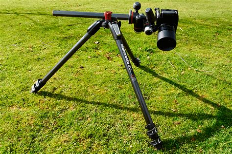 7 Best Tripods for Wildlife Photography to Buy in 2024