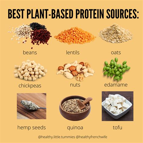 Nutritionist Reveals The Best Plant-Based Protein Sources