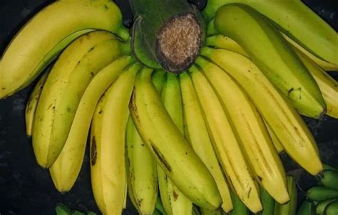 7 Jenis Pisang yang Populer di Indonesia, Kenali Perbedaannya