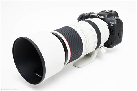 Martin Bailey Photography | Canon RF 100-500mm F4.5-7.1 L IS USM Lens Review (Podcast 717)