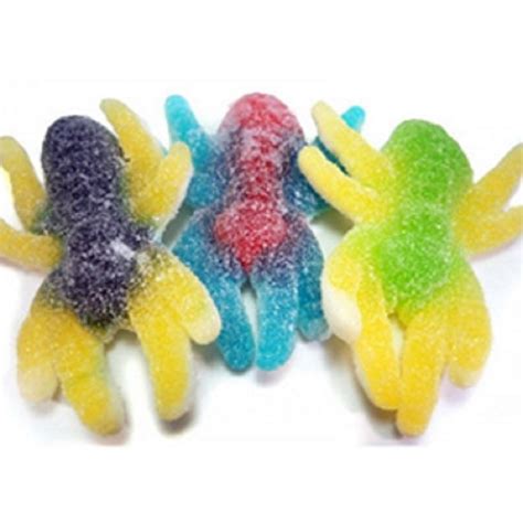 Amazon.com : Giant Sour Gummy Creepy Spiders Candy 1LB Bag : Grocery & Gourmet Food