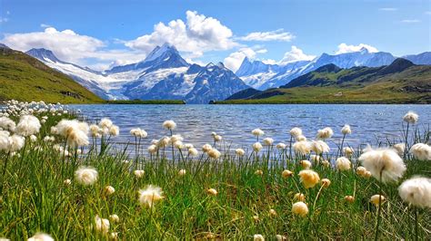 Spent the summer in the Swiss Alps. Bachalpsee Switzerland [1600x900 ...