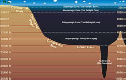 JetStream - An Online School for Weather: Layers of the Ocean