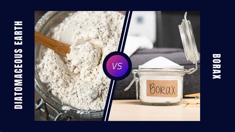 Diatomaceous Earth Vs Borax: Major Difference - GreenRatControl