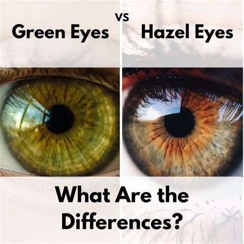 The Difference Between Green and Hazel Eyes | Hazel eyes, Hazel green ...