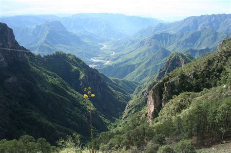 Copper Canyon, Rafting Down The River Which Divides The Mountains ...