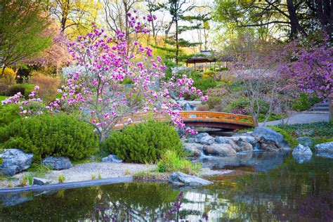 Beautiful Japanese garden Stock Photo 08 free download