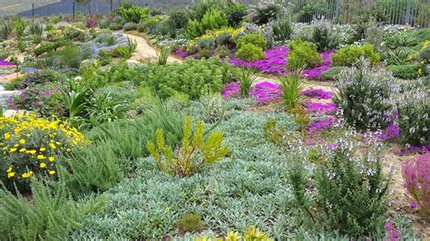 Fynbos Gardens Hermanus: Spring 2014