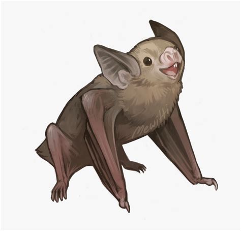 Bats Drawing Realistic - Vampire Bat Drawing, HD Png Download ...