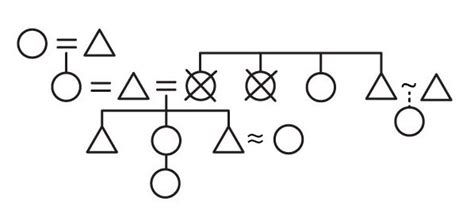 Anthropology Revealed: Kinship Diagrams/Charts