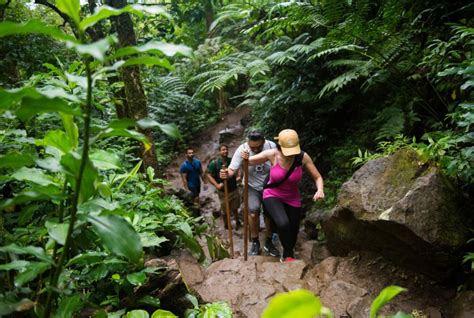 10 of the Top Hiking Trails on Oahu – Oahu Trip Ideas | Viator.com - Viator