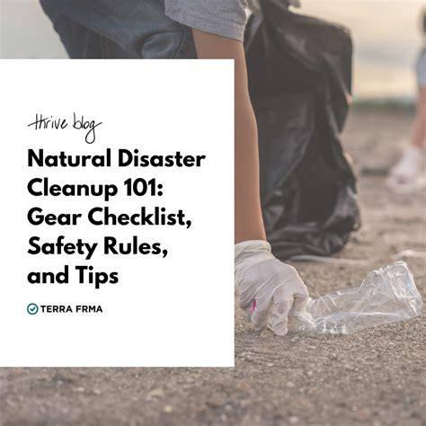 Beginner’s Guide to Natural Disaster Cleanup – Terra Frma