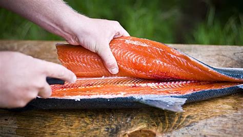 How to Fillet a Fish Correctly and Easily - Men's Journal