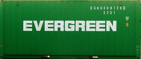 Related image in 2024 | Typography logo inspiration, Shipping container ...