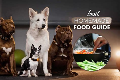 10 Best Vet-Approved Homemade Dog Food Recipes: Nutritionally Complete, Easy & Cheap - Canine Bible