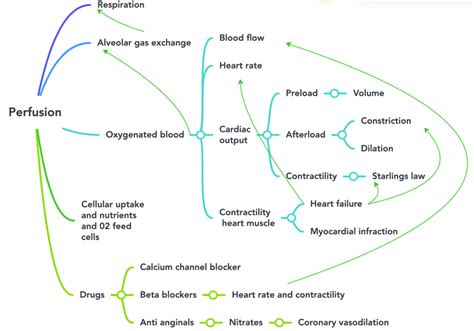 Concept Map: Perfusion – Fundamentals of Nursing Pharmacology – 1st Canadian Edition