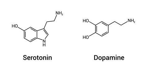 Serotonin vs. Dopamine: What Are the Differences?