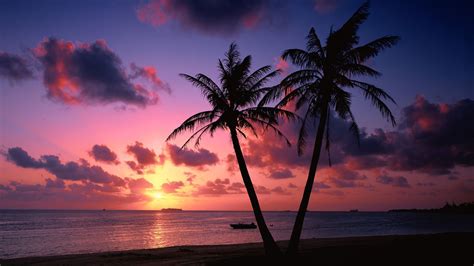 Tropical Island Sunset Wallpaper - WallpaperSafari