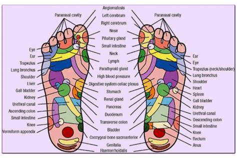 Acute and Chronic Sciatica - Causes and removing the pain. | hubpages