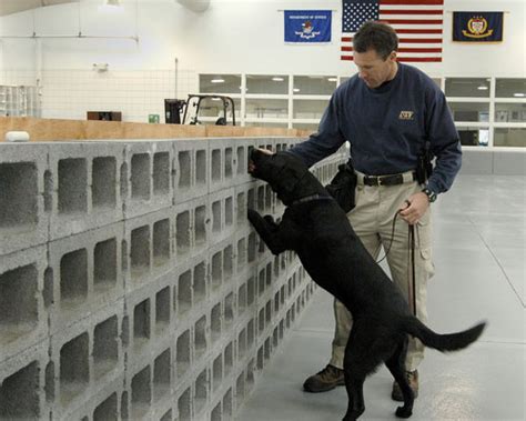 Accelerant and Explosives Detection Canines | Bureau of Alcohol ...