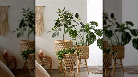 11 Rattan Planters That Will Perfectly Complement All Of Your Houseplants