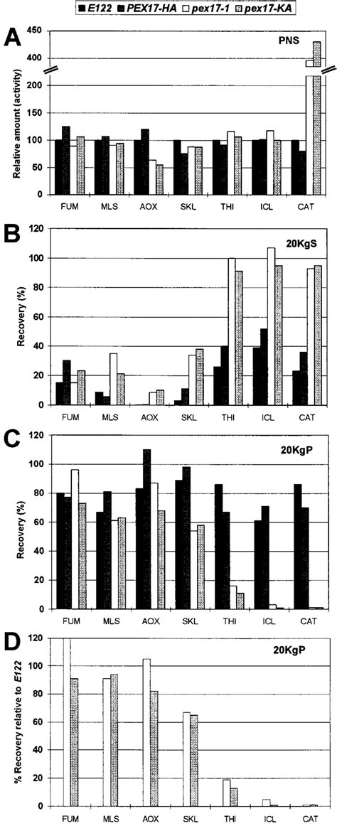 Peroxisomal matrix proteins are mislocalized to the 20KgS to various ...