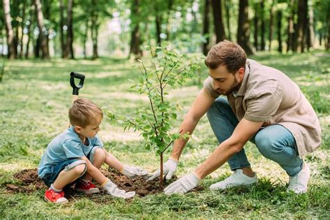 What's the Best Way to Plant a Tree? | Kellogg Garden Organics™