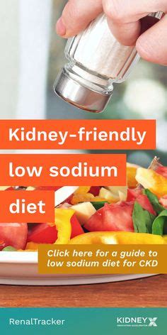 Low Sodium Kidney Diet