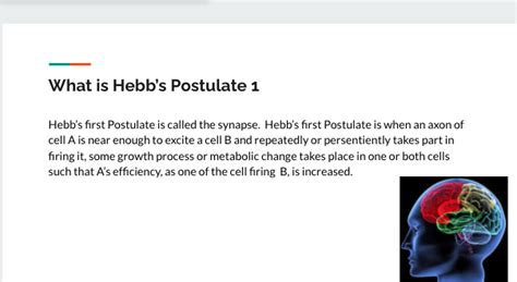 The Hebbian Learning Theory -"Hebb's Principle"