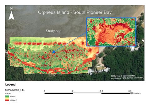 Mangrove conservation - How can drones help?